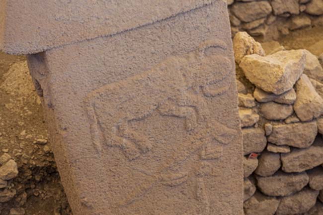 Gobekli Tepe Turkish for "Potbelly Hill". This pillar shows a horned bull. (Mehmet/Adobe Stock)