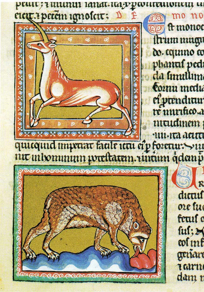 Monoceros (unicorn) and Bear. The Ashmole Bestiary, England, early 13th century. (Public Domain)