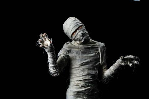  A mummy was hiding an ancient secret – his dinner (Bangkok Click Studio/AdobeStock)