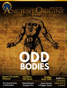 Odd Bodies
